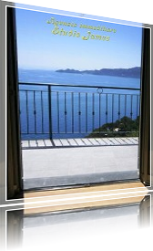ampia vista mare, davanti a Portofino, che si gode dall'appartamento dossier 12